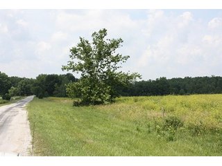 Property photo 20 - 419 +/- Acres offered in 6 Tracts, Land Auction